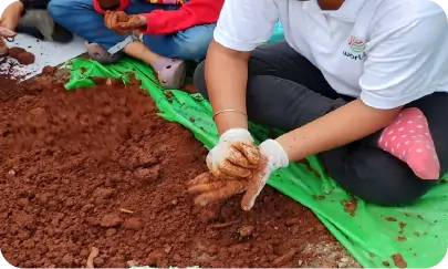 Close-up of participant shaping seedball using soil mixture 